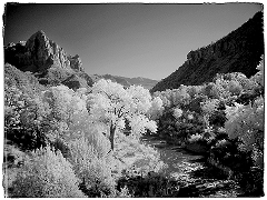 Zion View